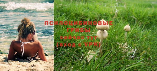 тгк Алексин
