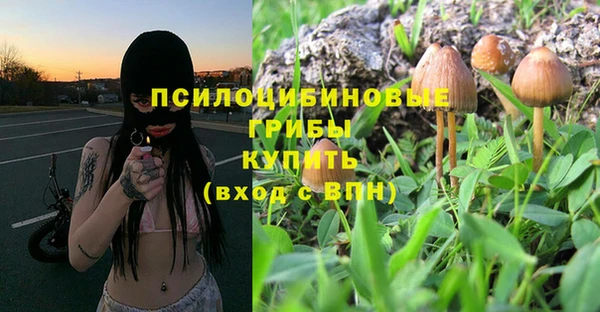 экстази Алзамай