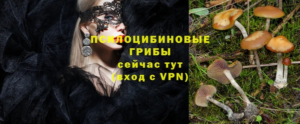 бошки Алексеевка