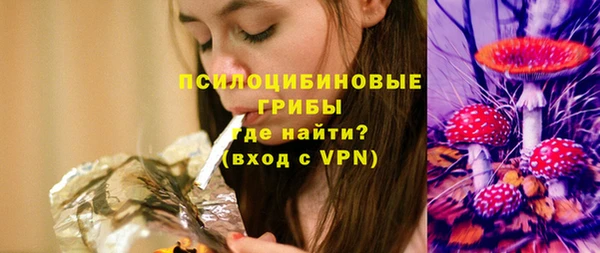 тгк Алексин